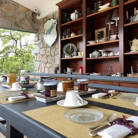 Couette-café Les Aurochs Grimaud